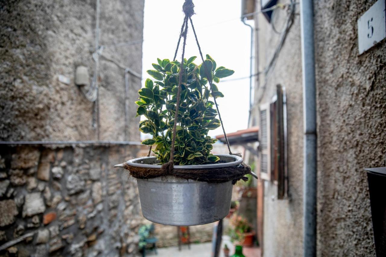 Dimora Turistica De' Piazza Hotel Roccalvecce Buitenkant foto