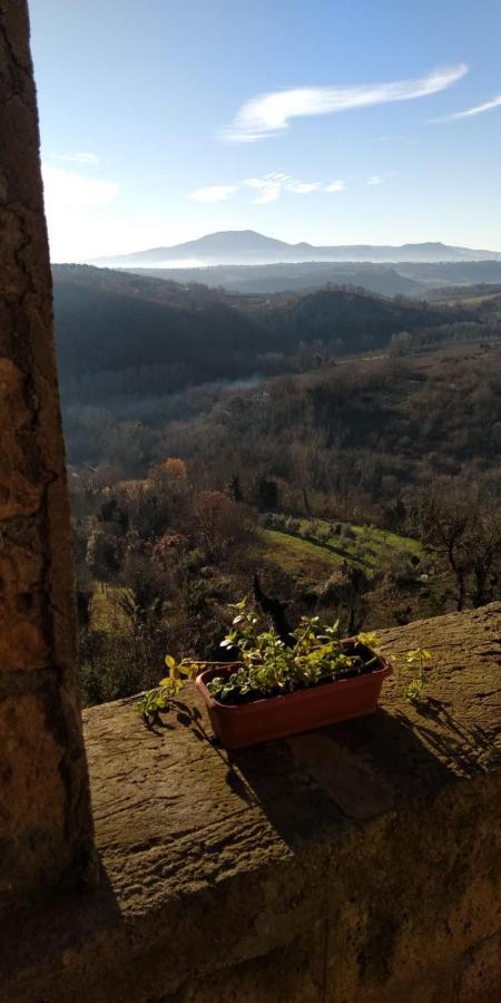 Dimora Turistica De' Piazza Hotel Roccalvecce Buitenkant foto